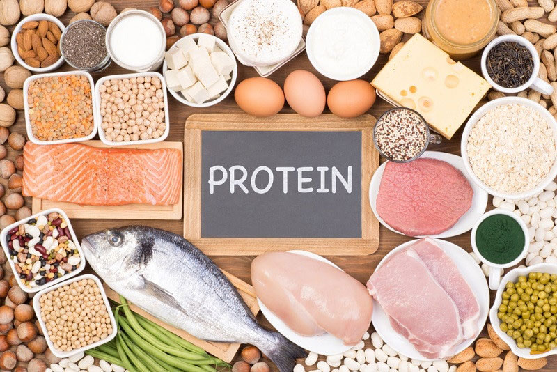 پروتئین ها در رژیم غذایی دوران بارداری