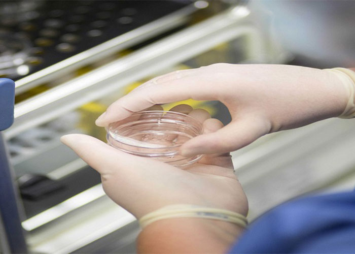 بلوغ تخمک در آزمایشگاه برای درمان ناباروری